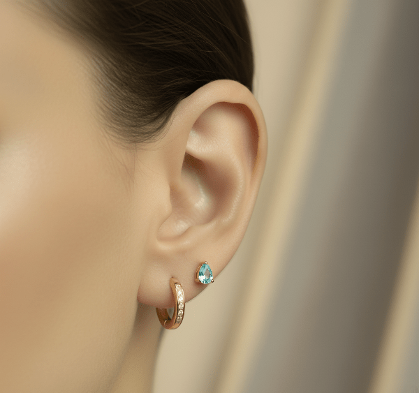 earpin e1760463706906